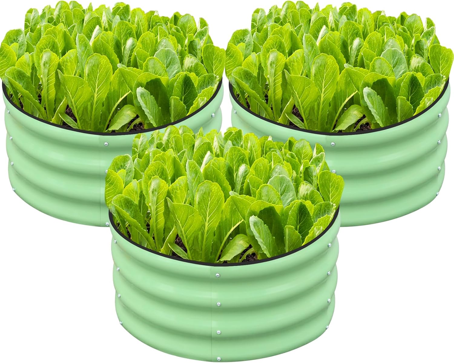 Raised Garden Bed & Planter Bo - Planter Raised Metal ulasan dan harga