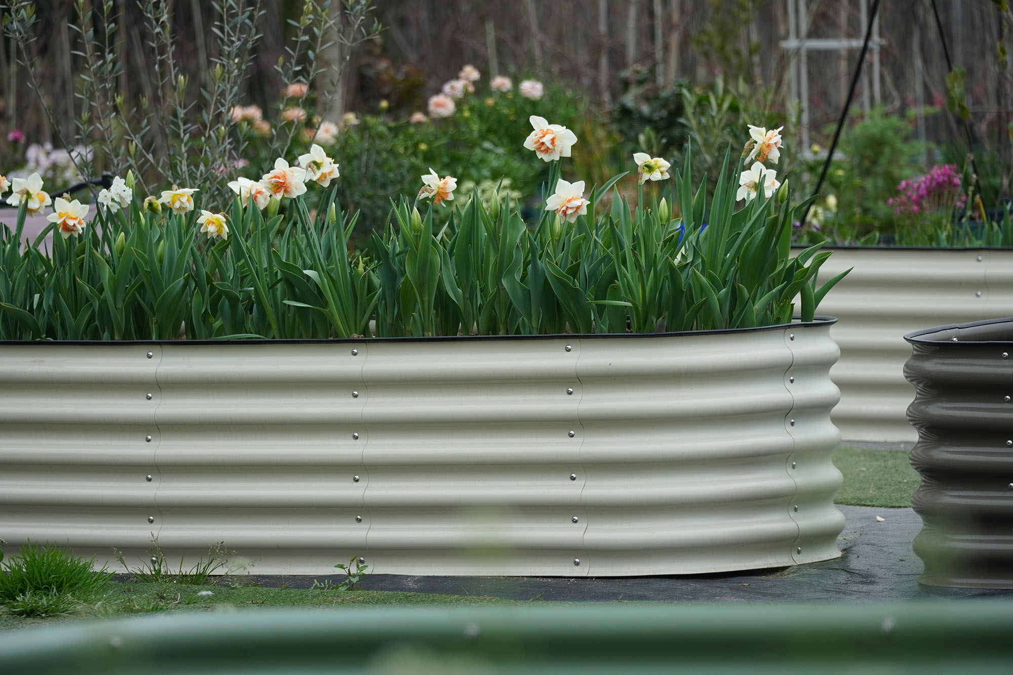 Large Galvanized Raised Garden - Planter Raised Metal ulasan dan harga